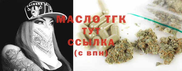 сатива Новозыбков