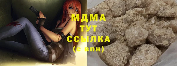 сатива Новозыбков