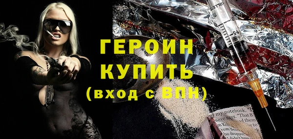 сатива Новозыбков