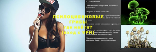 хмурый Новокубанск