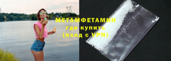 шишки Няндома