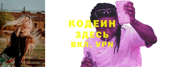 сатива Новозыбков