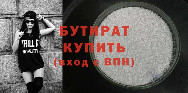 шишки Няндома