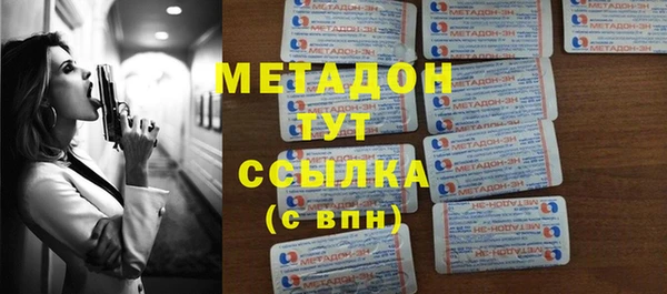 сатива Новозыбков