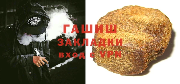 шишки Няндома