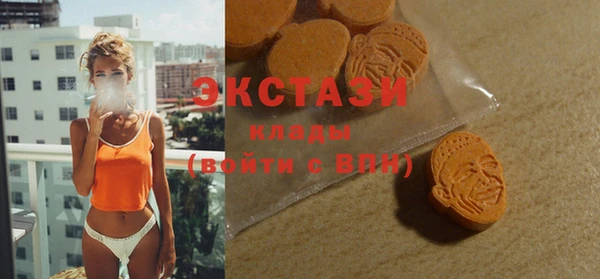 сатива Новозыбков