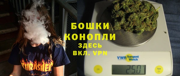 шишки Няндома