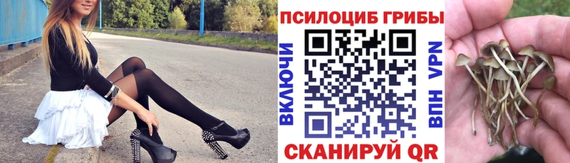 где можно купить наркотик  Куйбышев  ОМГ ОМГ как войти  Псилоцибиновые грибы ЛСД 