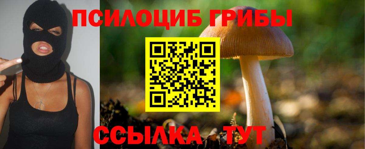 Куйбышев  Галлюциногенные грибы Psilocybine cubensis  Вход с VPN  Галлюциногенные грибы MAGIC MUSHROOMS 